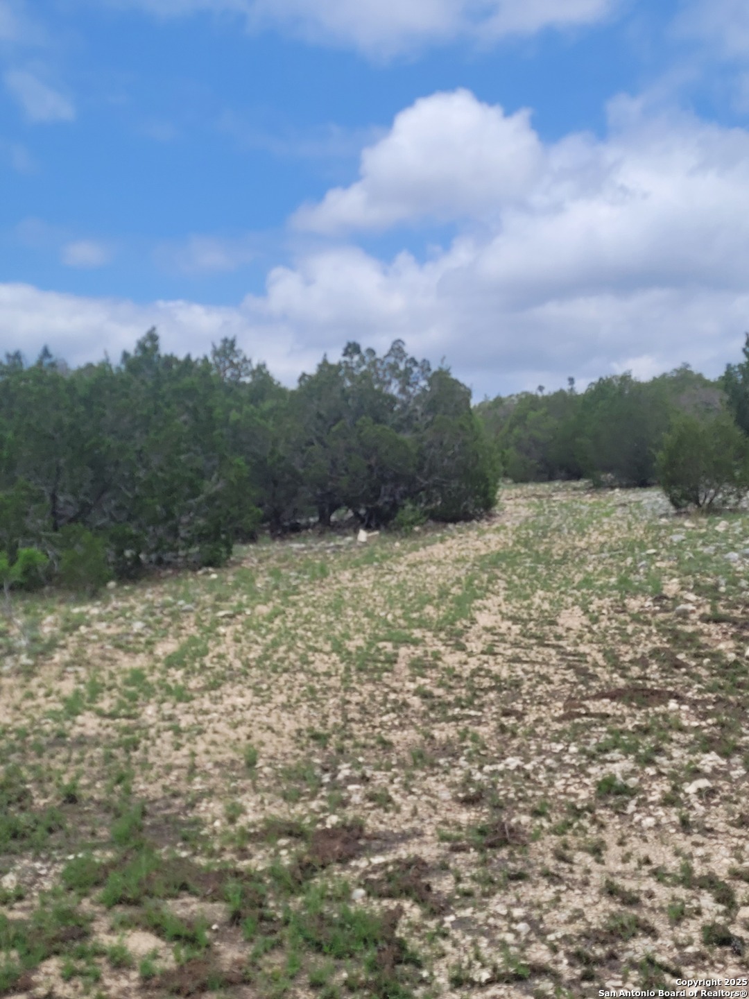 Lot 5 Highway 55 Rocksprings TX 78880