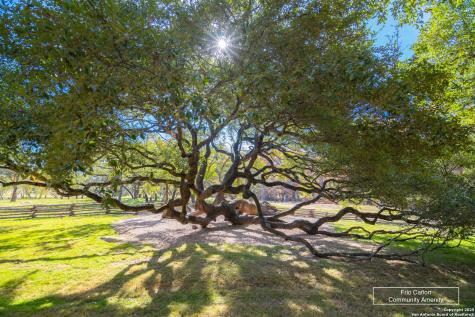 Tbd Us Highway 83 Leakey TX 78873