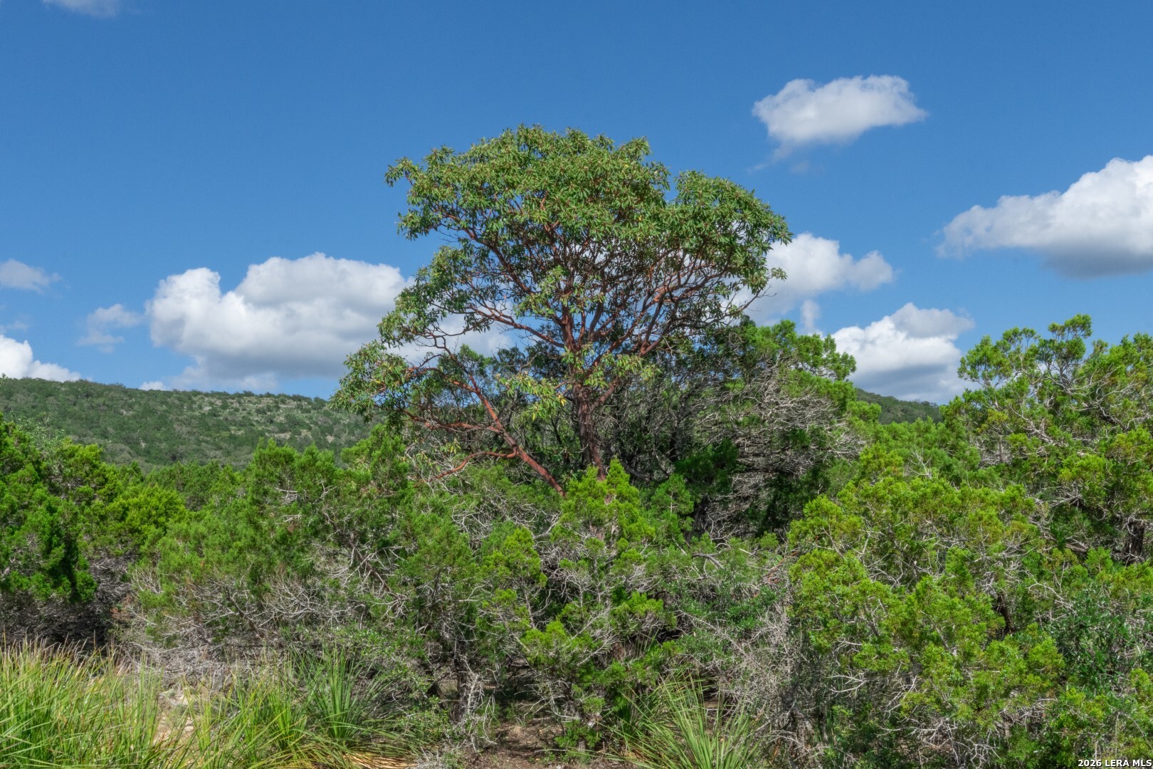992 Bunk Road Utopia TX 78884