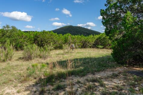 992 Bunk Road Utopia TX 78884