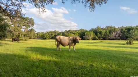 188 Specht Road San Antonio TX 78260