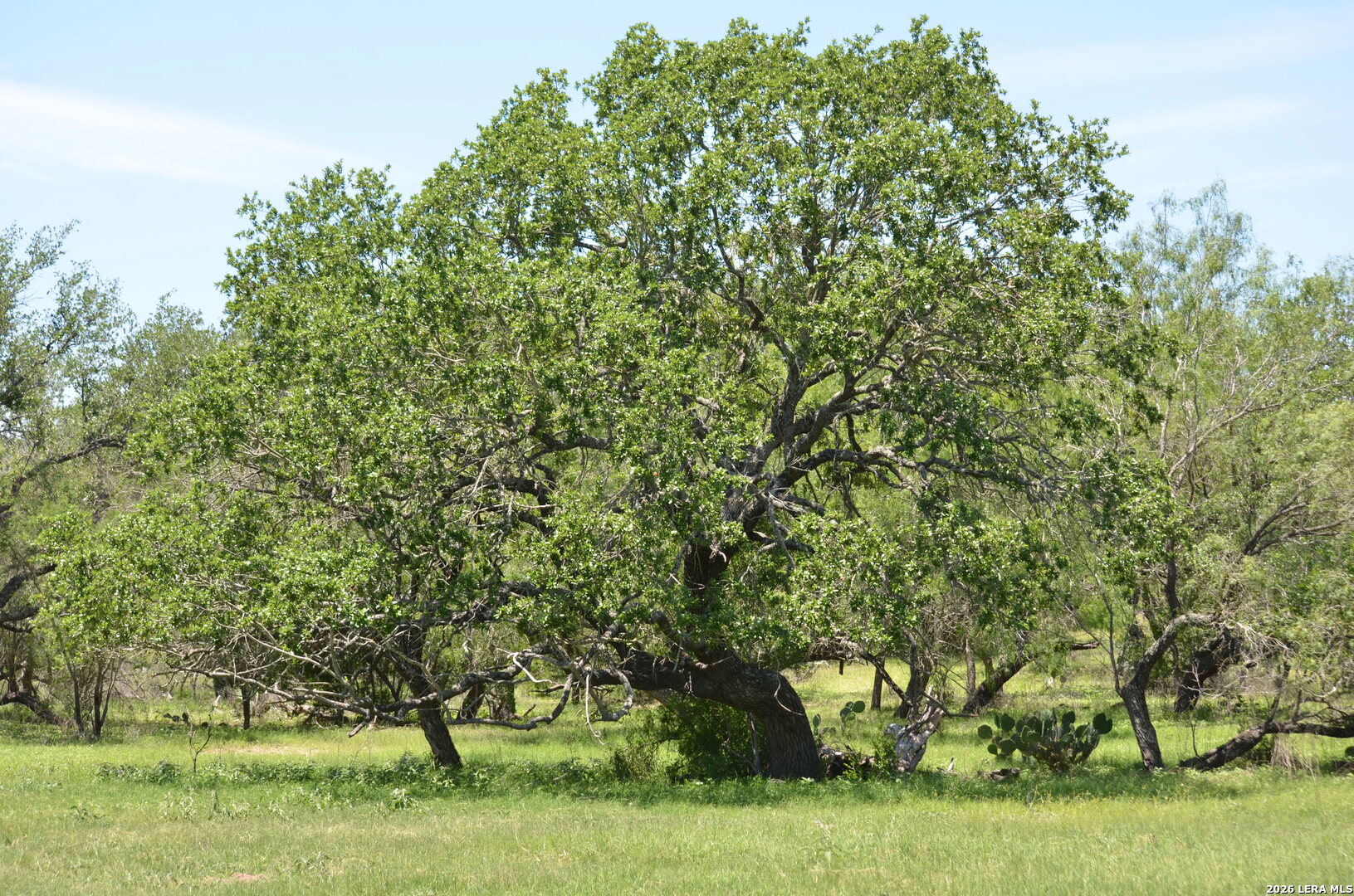 1140 County Road 765 Moore TX 78057