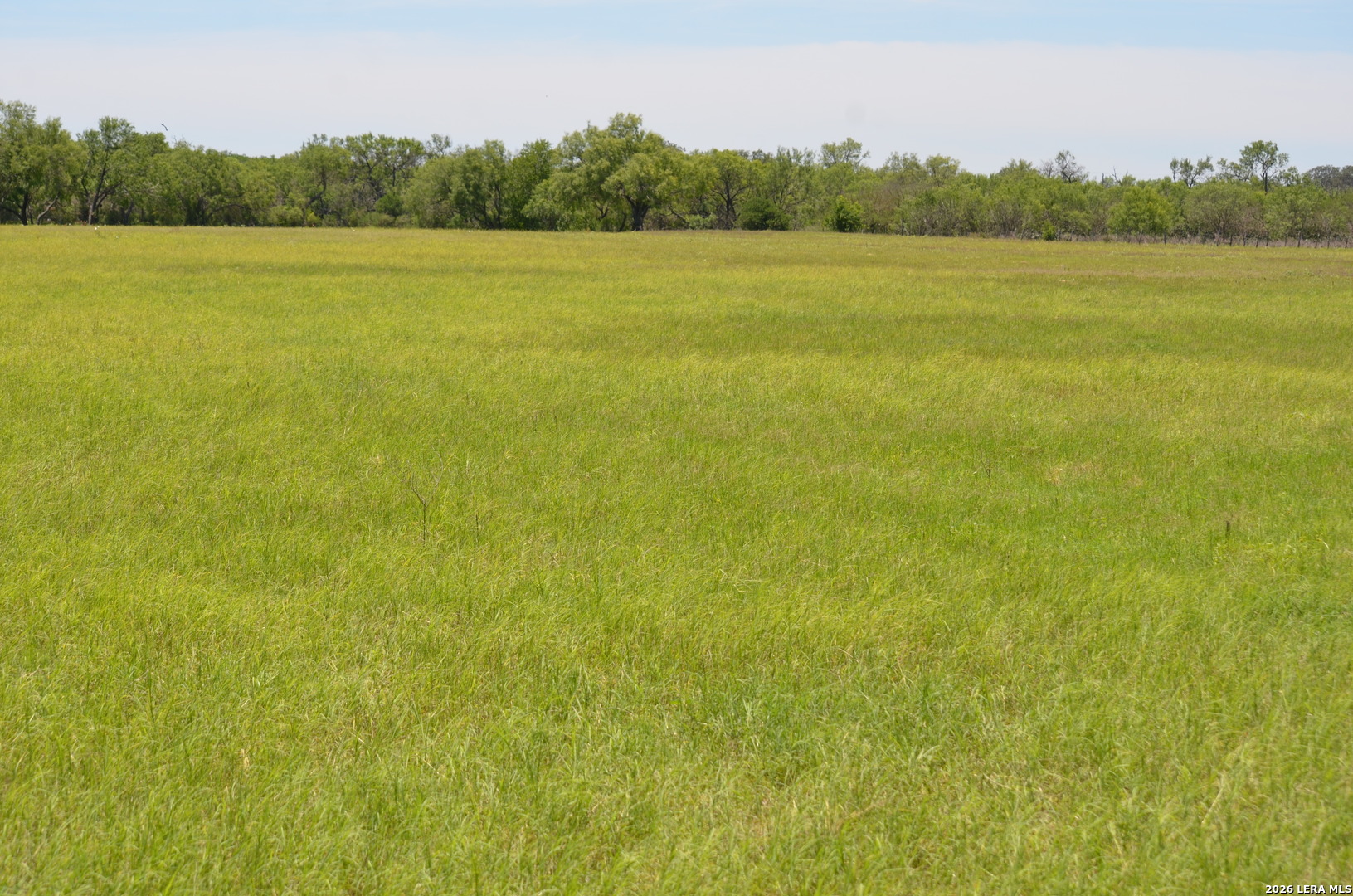 1140 County Road 765 Moore TX 78057