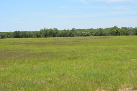 1140 County Road 765 Moore TX 78057
