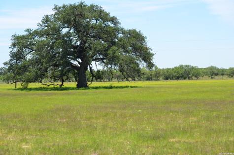 1140 County Road 765 Moore TX 78057