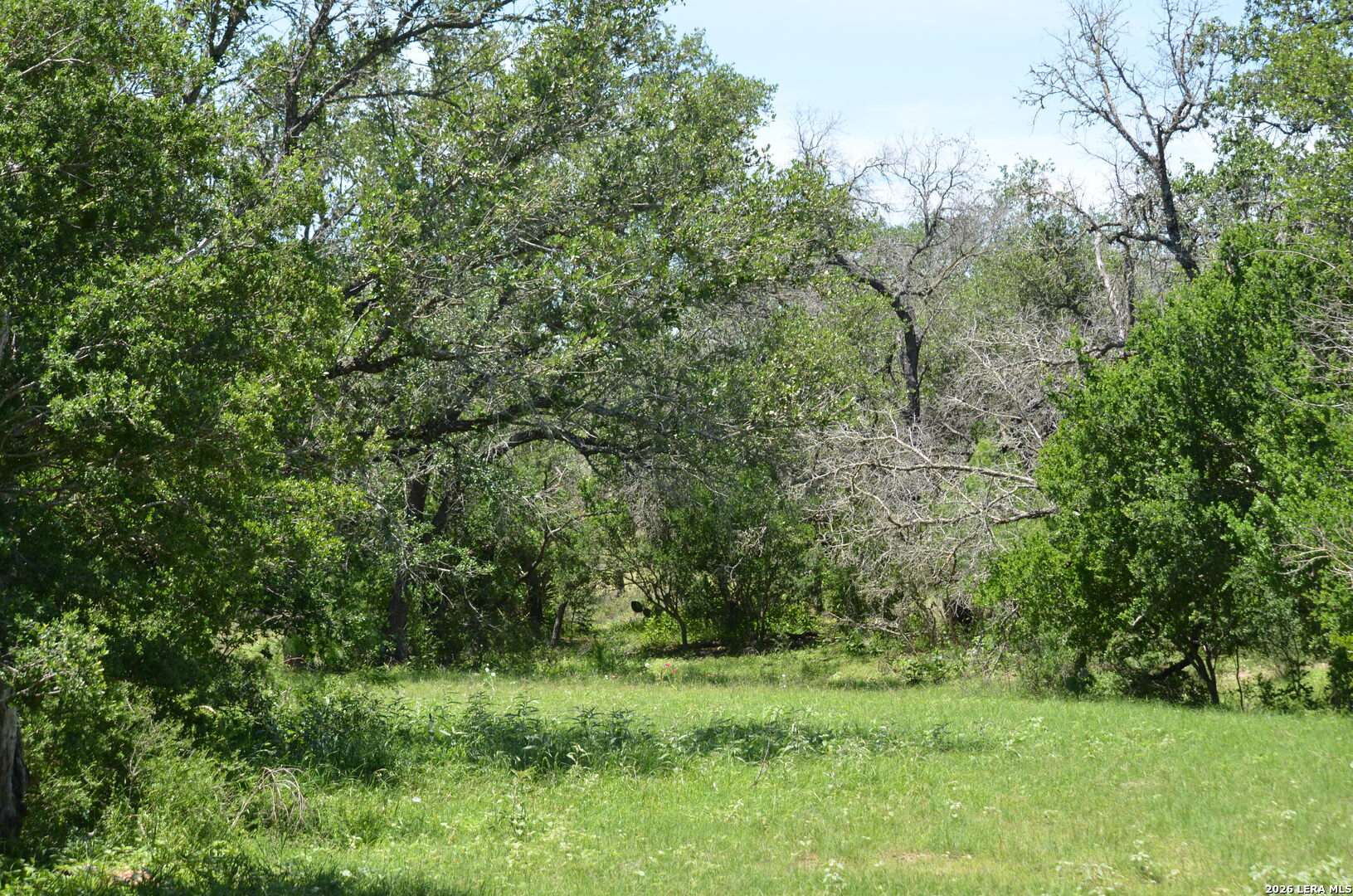 1140 County Road 765 Moore TX 78057