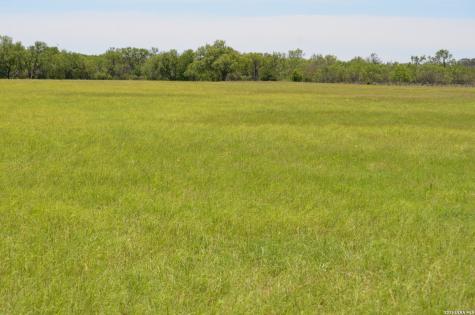 1140 County Road 765 Moore TX 78057
