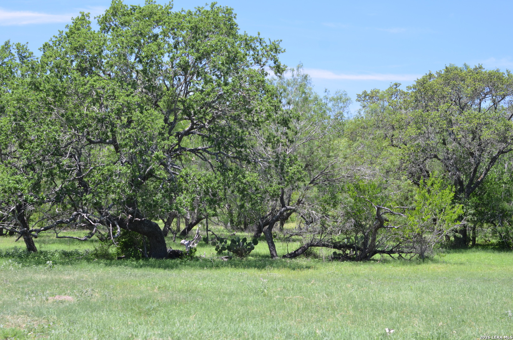 1140 County Road 765 Moore TX 78057