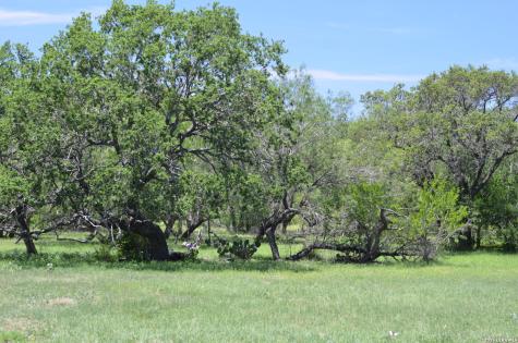 1140 County Road 765 Moore TX 78057
