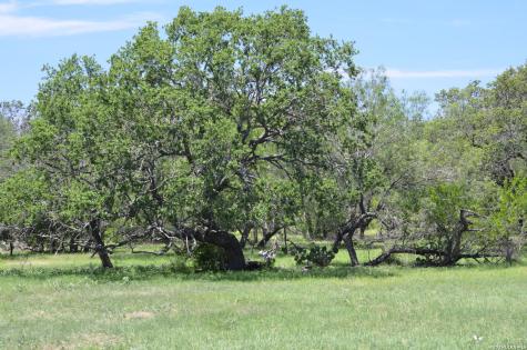 1140 County Road 765 Moore TX 78057