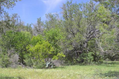 1140 County Road 765 Moore TX 78057