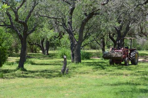1140 County Road 765 Moore TX 78057