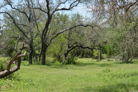 1140 County Road 765 Moore TX 78057