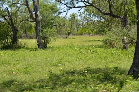 1140 County Road 765 Moore TX 78057