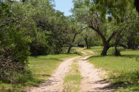 1140 County Road 765 Moore TX 78057