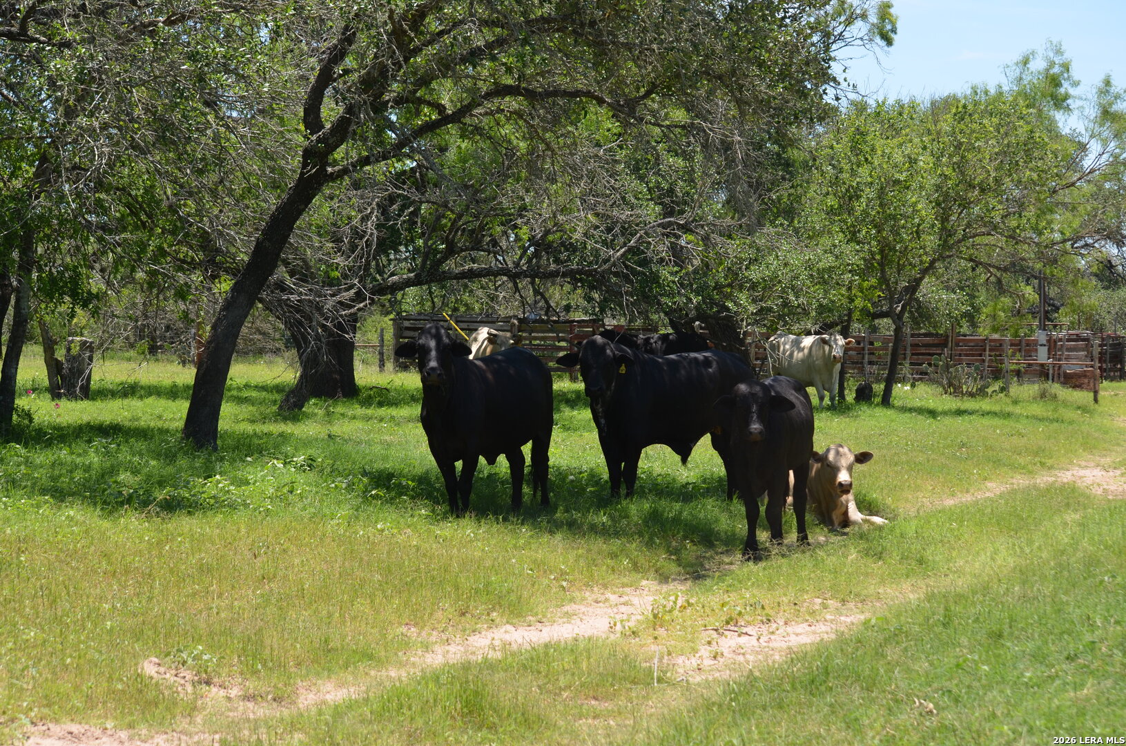 1140 County Road 765 Moore TX 78057