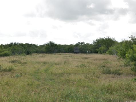 Tbd Cr 208 Hobson TX 78117