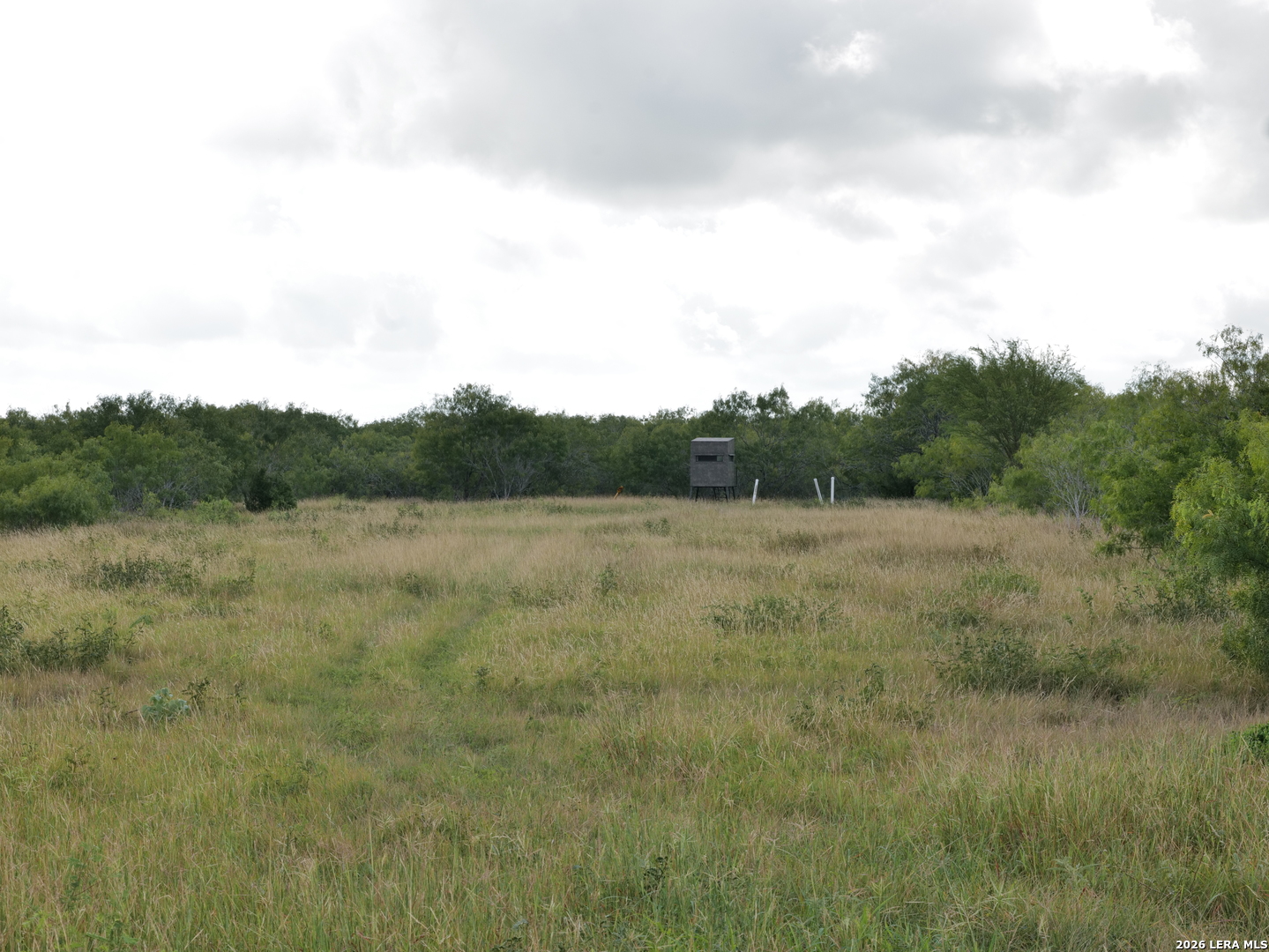 Tbd Cr 208 Hobson TX 78117