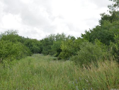 Tbd Cr 208 Hobson TX 78117