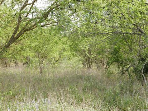 Tbd Cr 208 Hobson TX 78117