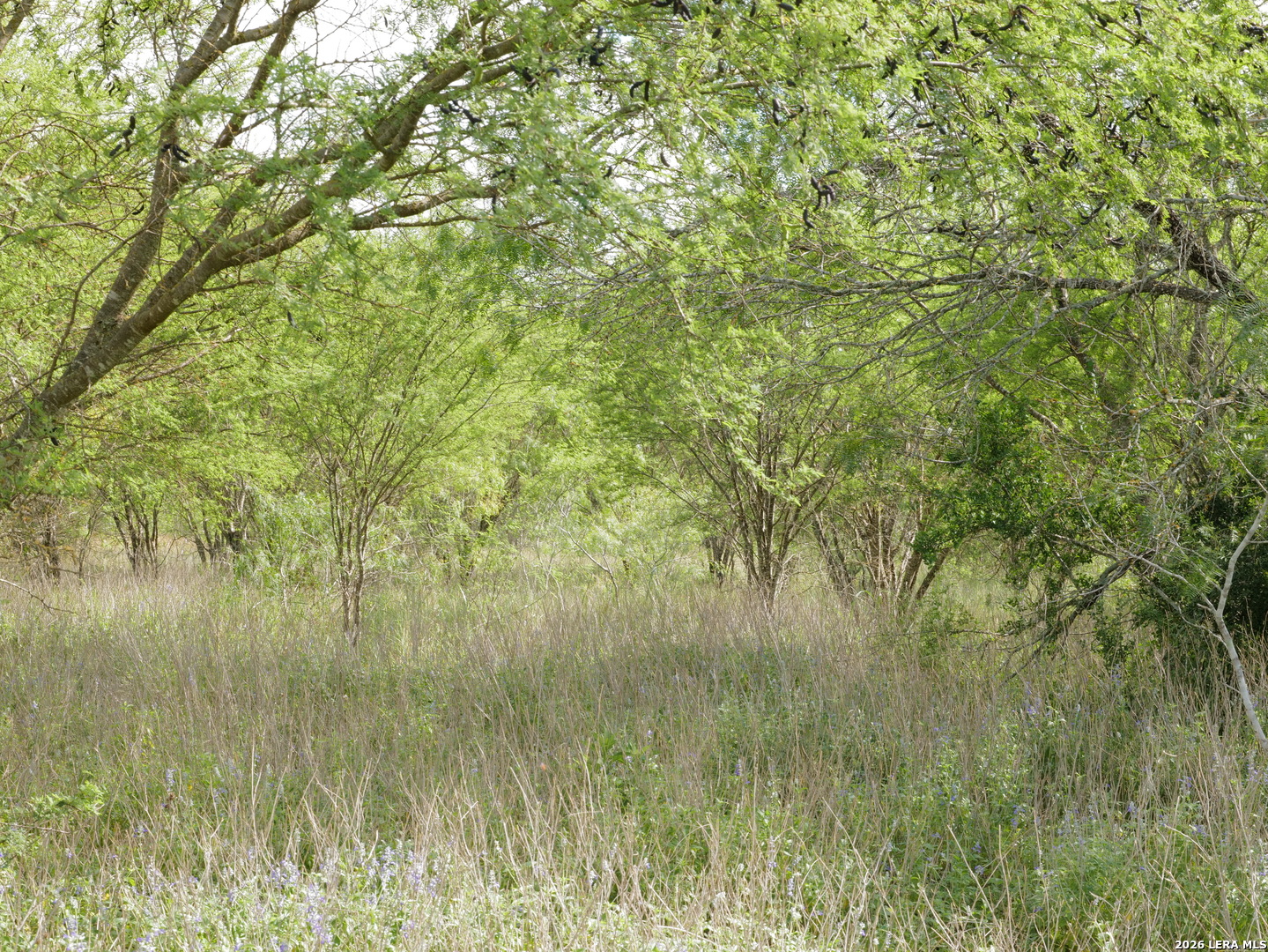 Tbd Cr 208 Hobson TX 78117