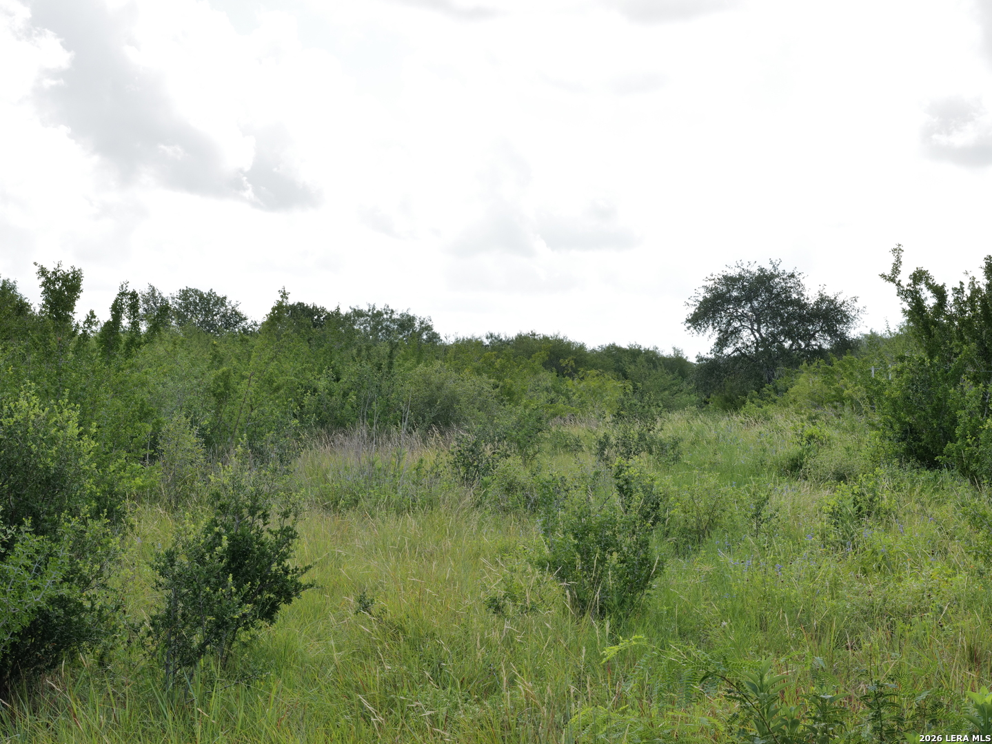 Tbd Cr 208 Hobson TX 78117