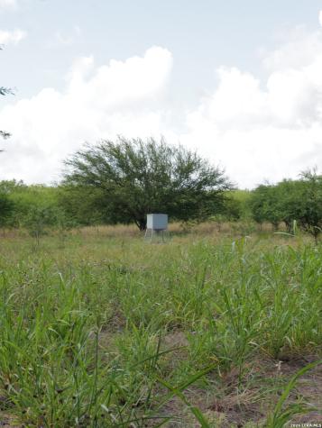Tbd Cr 208 Hobson TX 78117