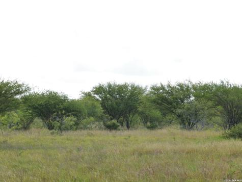 Tbd Cr 208 Hobson TX 78117
