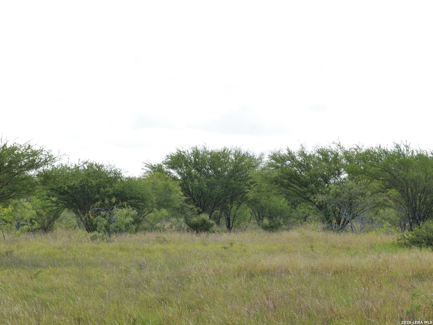 Tbd Cr 208 Hobson TX 78117