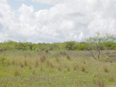 Tbd Cr 208 Hobson TX 78117