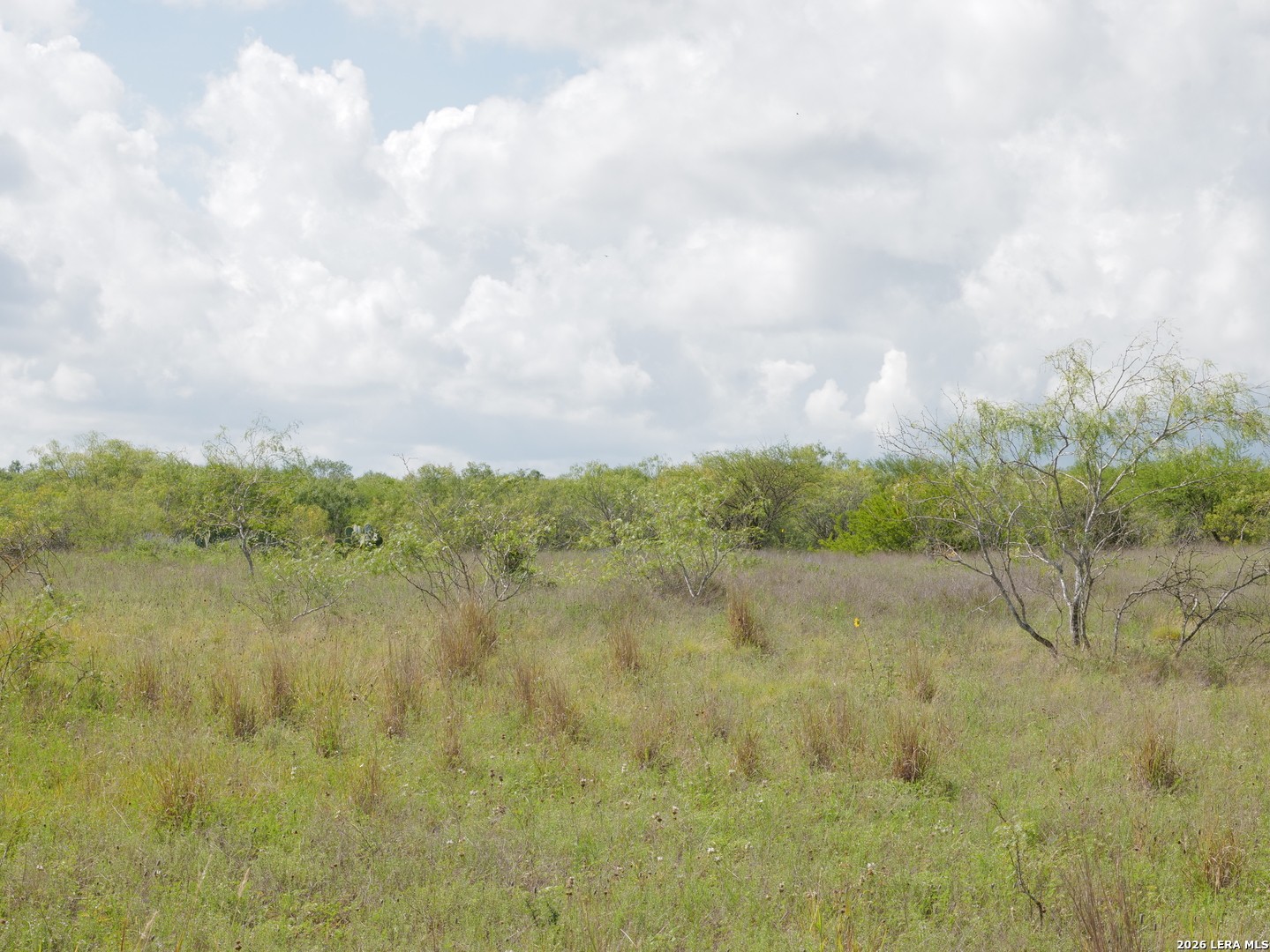 Tbd Cr 208 Hobson TX 78117
