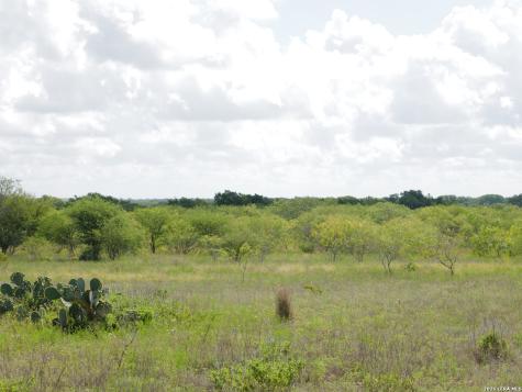Tbd Cr 208 Hobson TX 78117