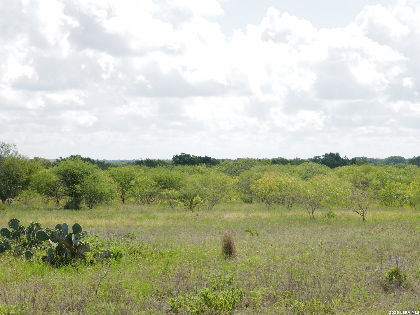 Tbd Cr 208 Hobson TX 78117