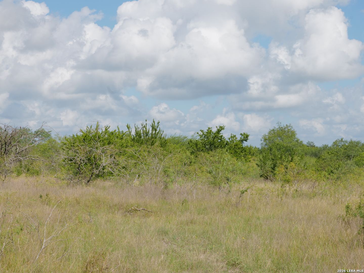 Tbd Cr 208 Hobson TX 78117
