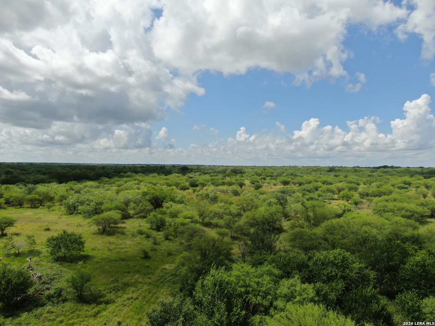 Tbd Cr 208 Hobson TX 78117