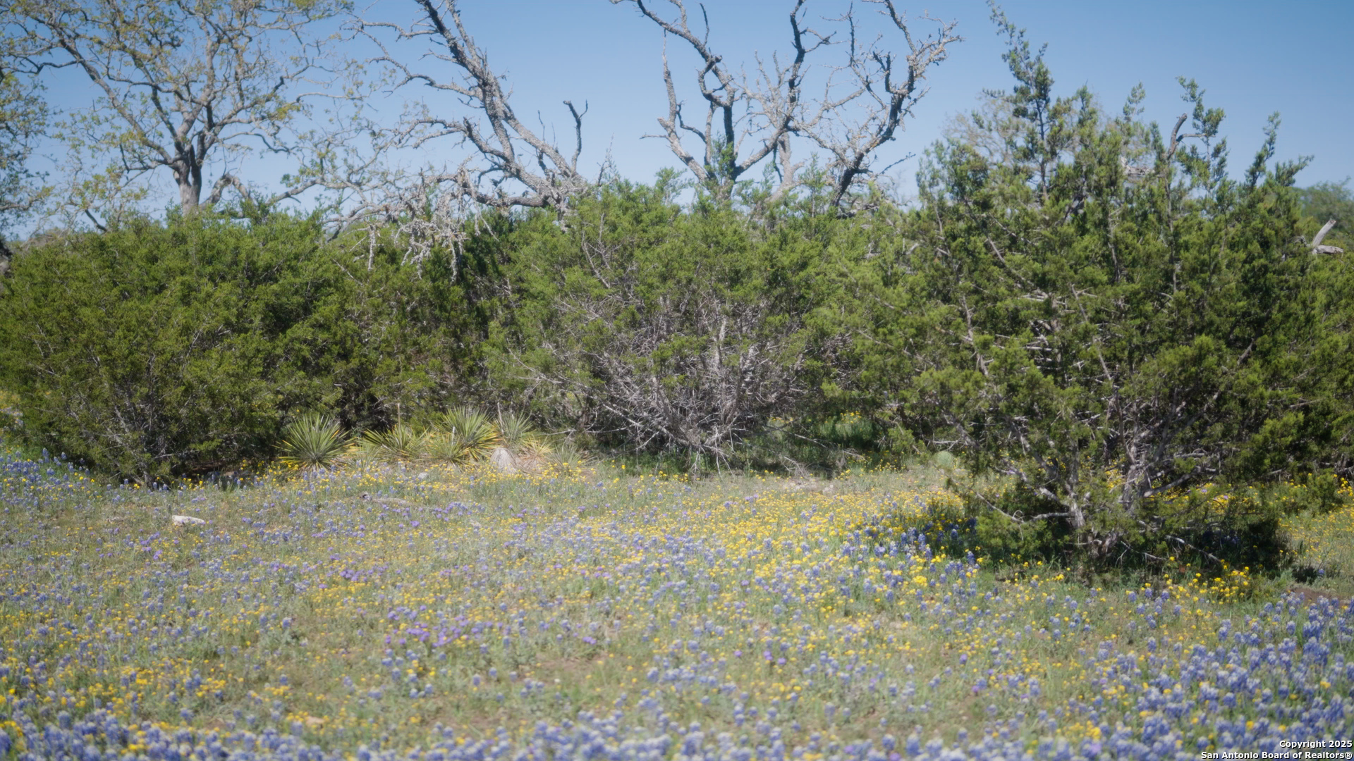00 Fm 479 Harper TX 78631