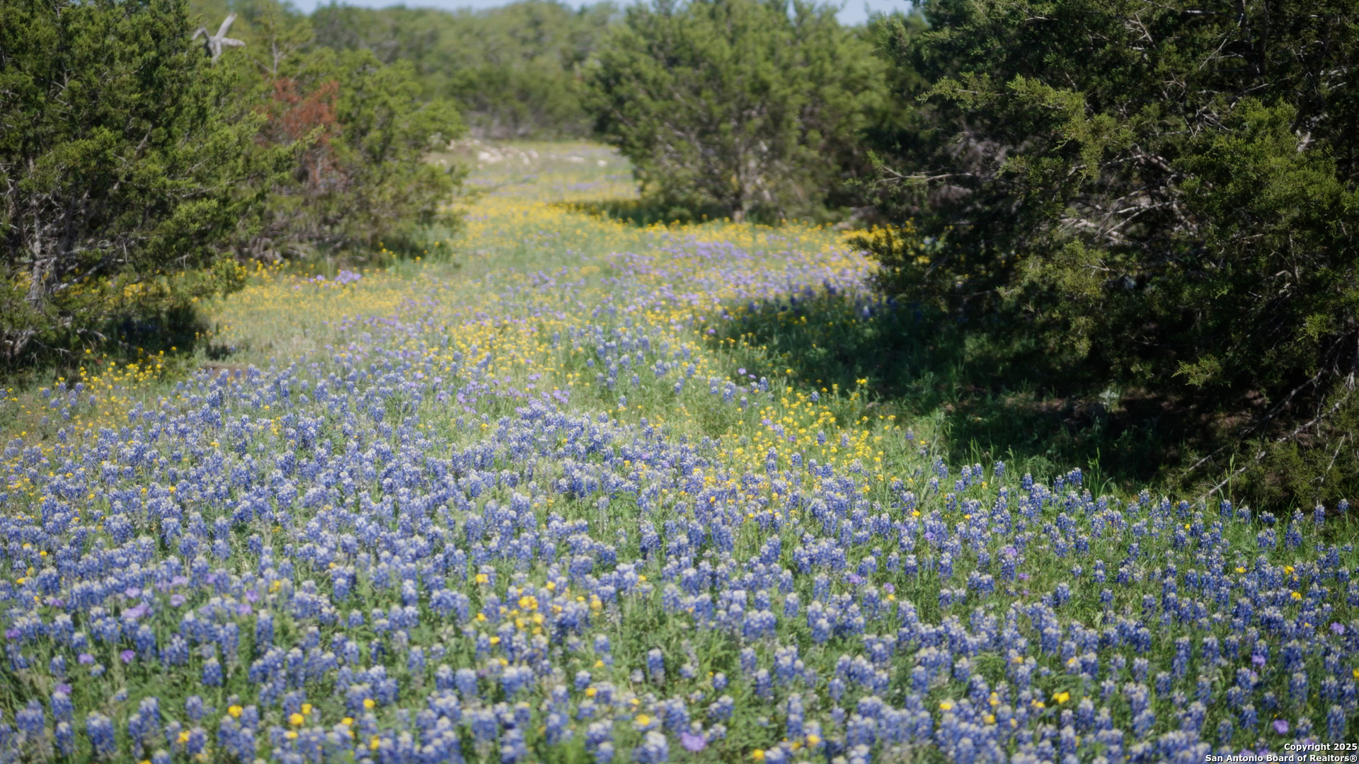 00 Fm 479 Harper TX 78631