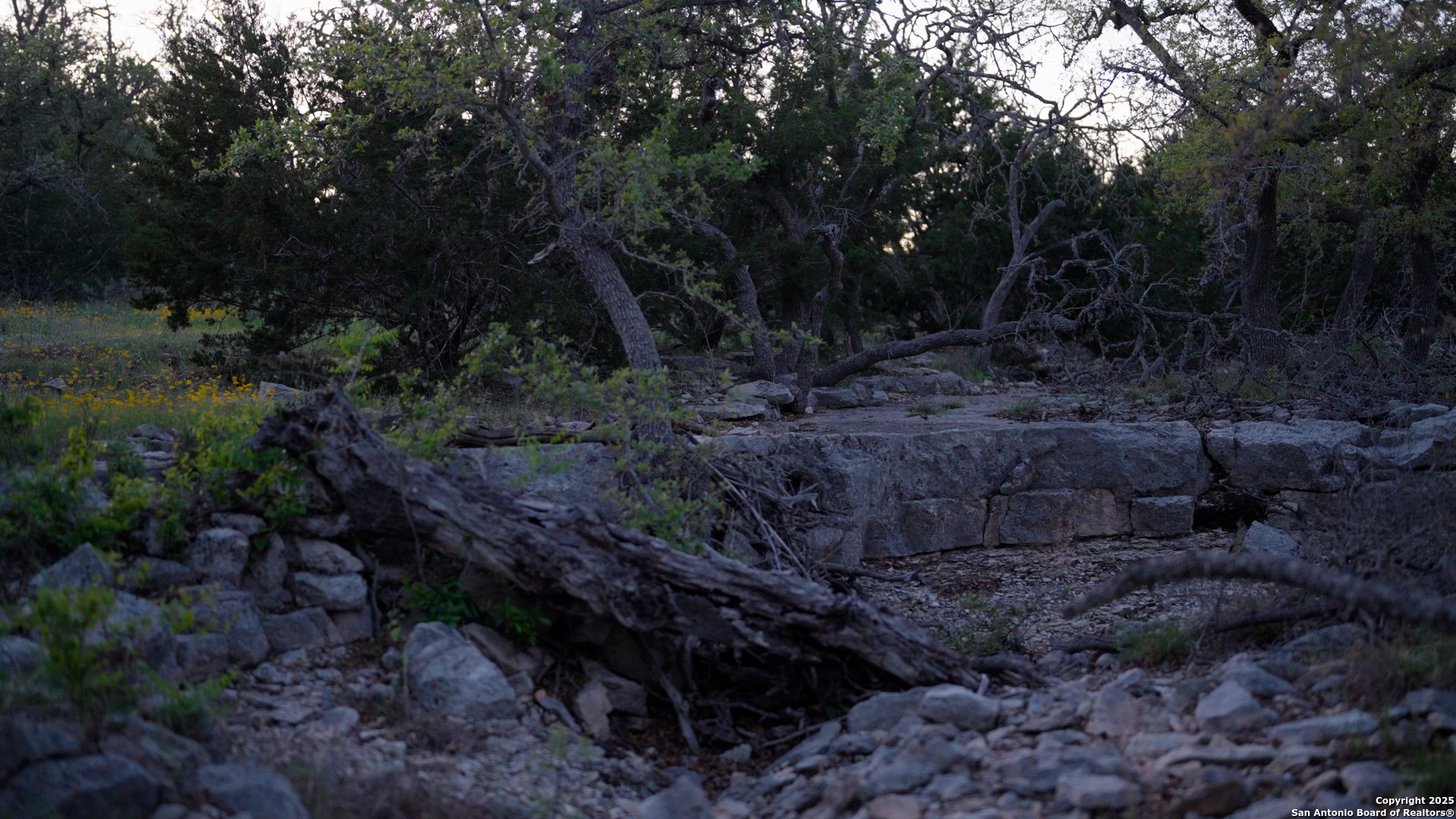 00 Fm 479 Harper TX 78631