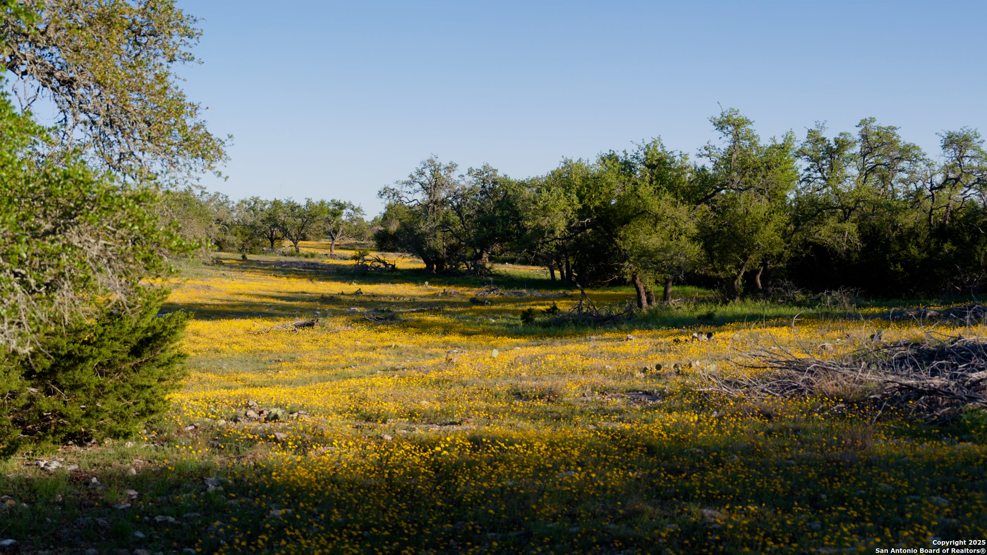 00 Fm 479 Harper TX 78631