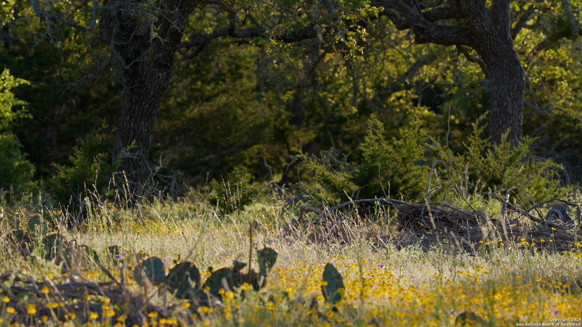 00 Fm 479 Harper TX 78631