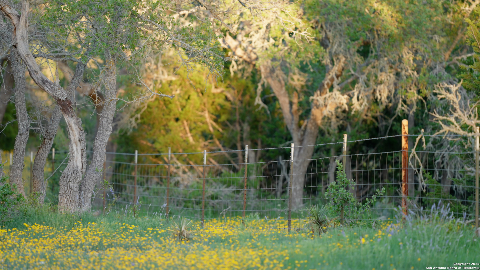 00 Fm 479 Harper TX 78631