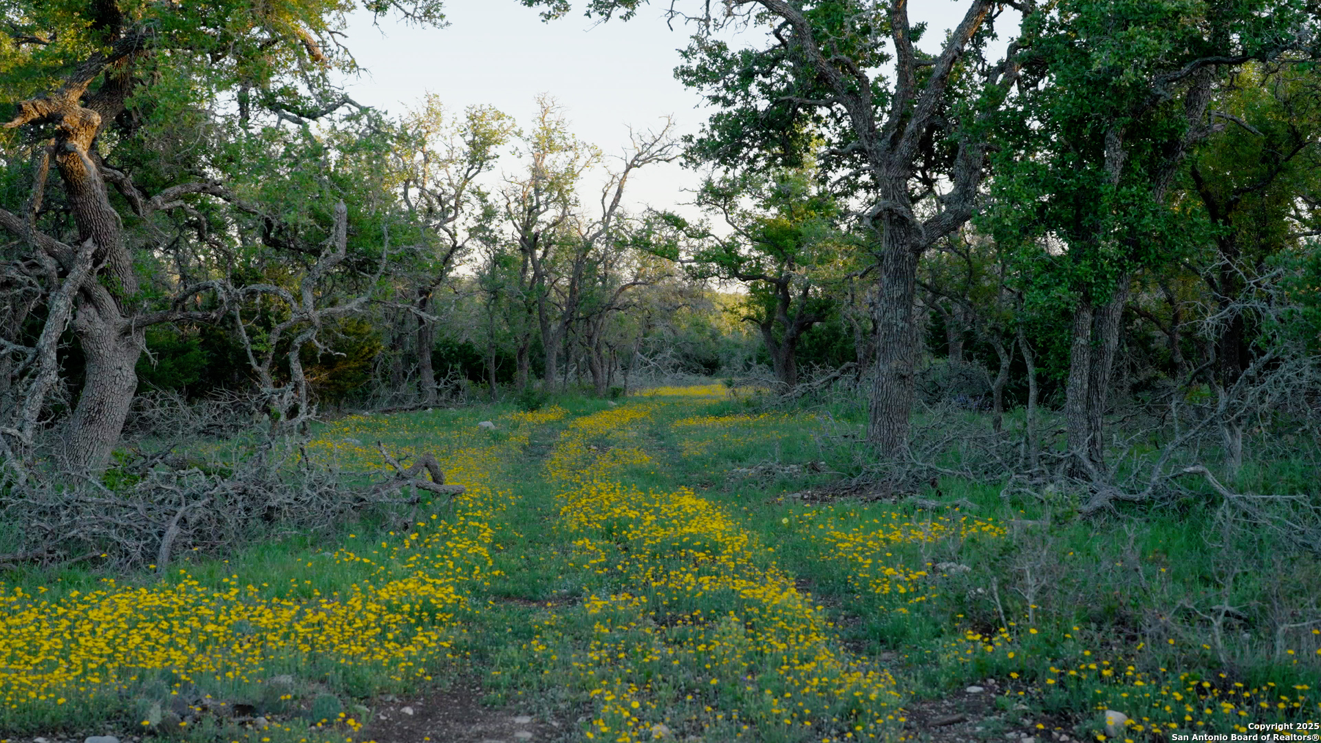 00 Fm 479 Harper TX 78631