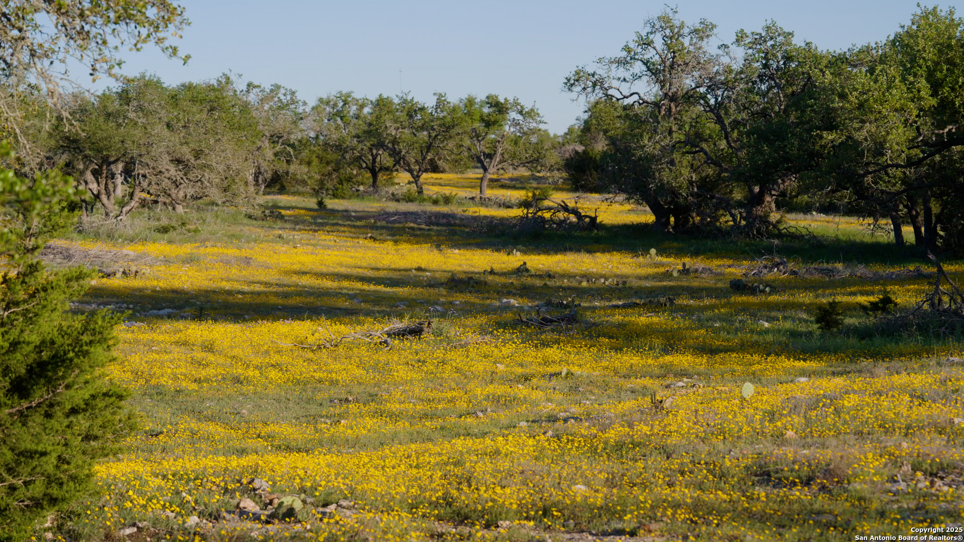 00 Fm 479 Harper TX 78631