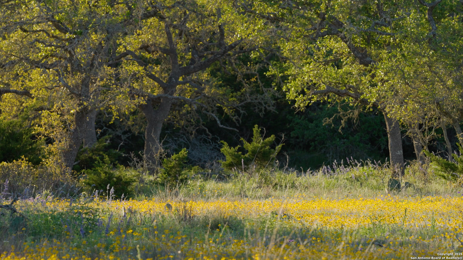 00 Fm 479 Harper TX 78631