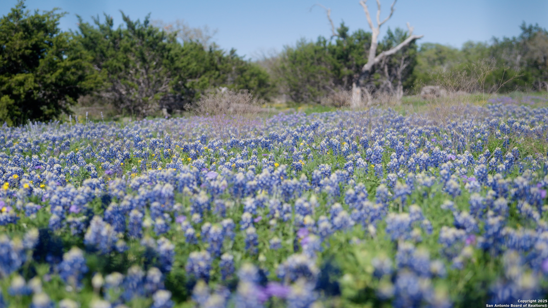 00 Fm 479 Harper TX 78631