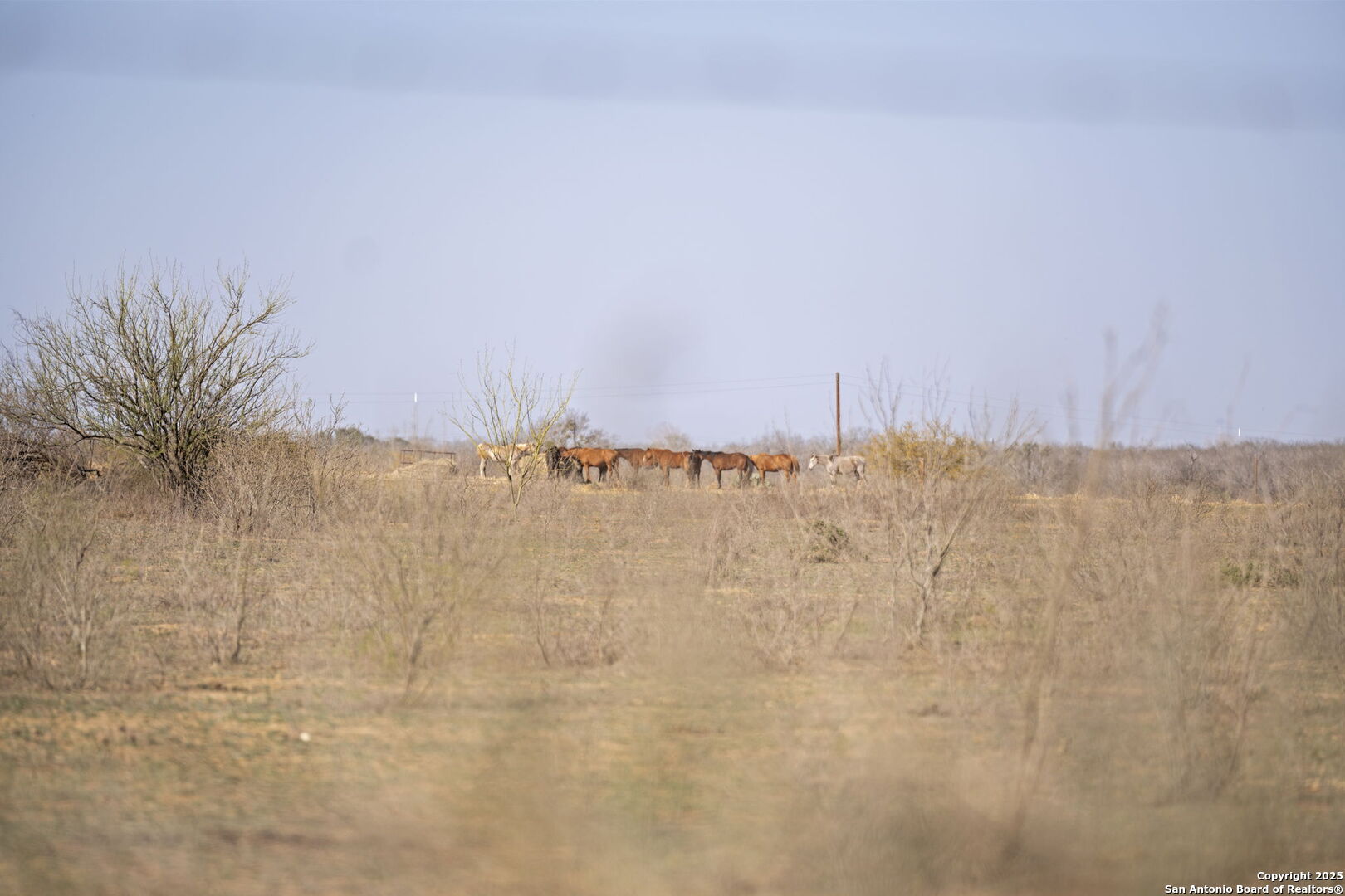 0 W Payne Somerset TX 78069