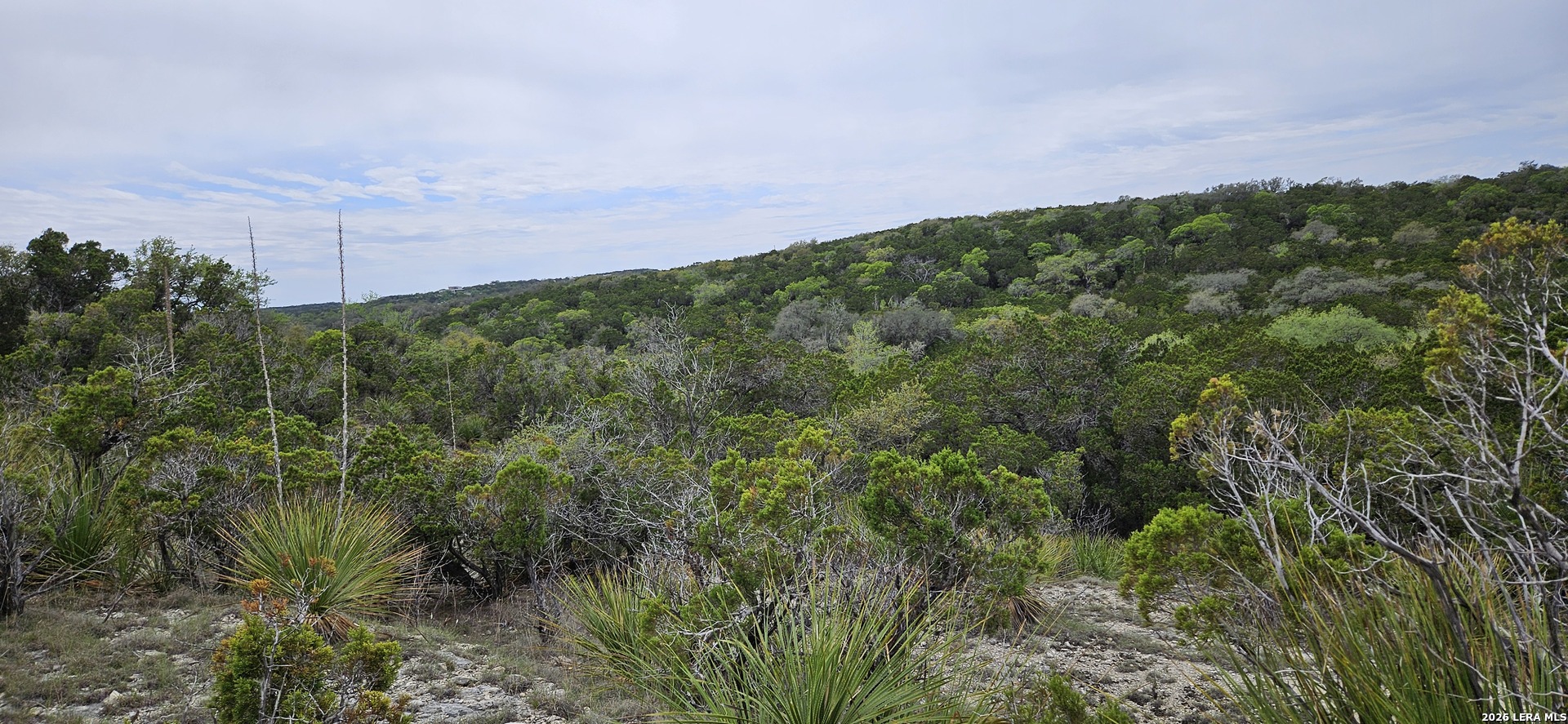 21207 Scenic Loop Helotes TX 78023