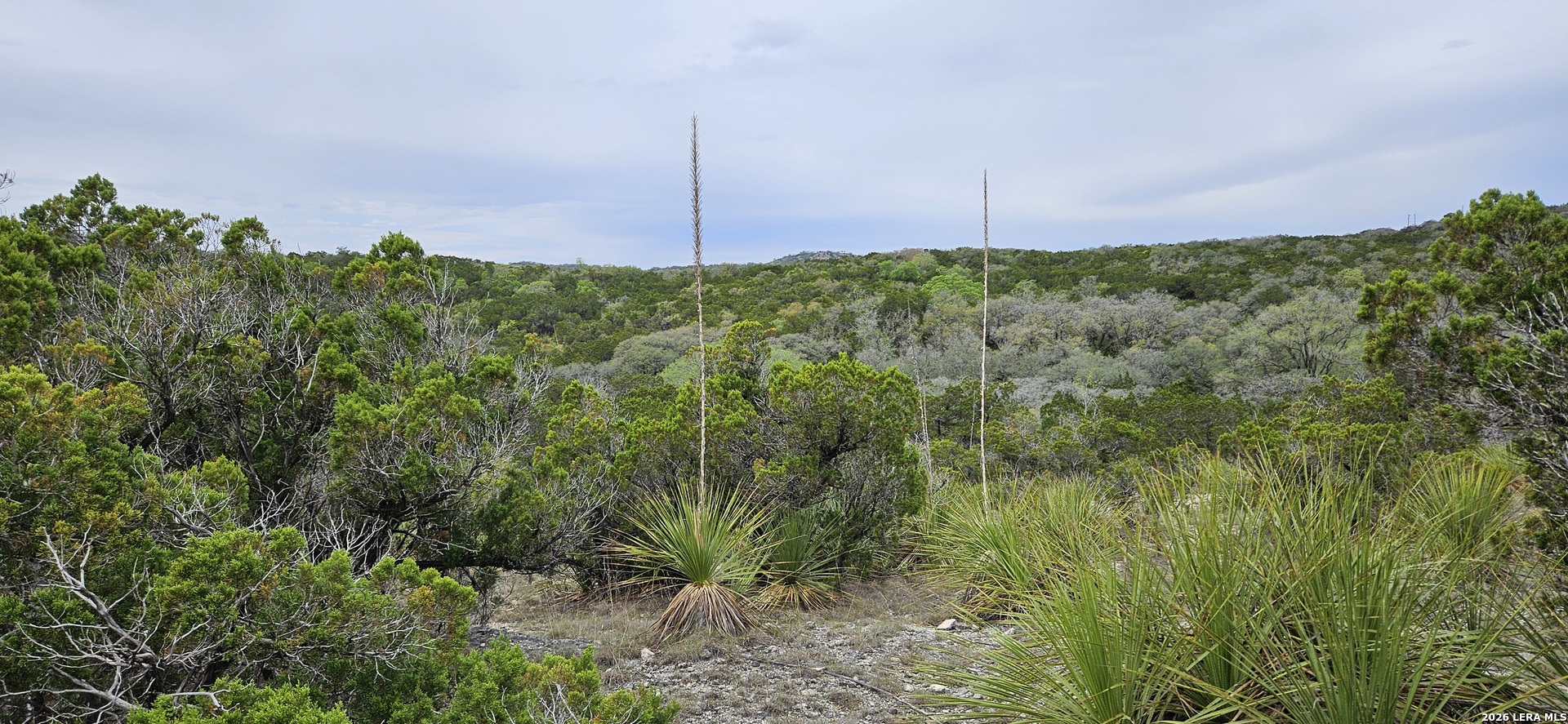 21207 Scenic Loop Helotes TX 78023