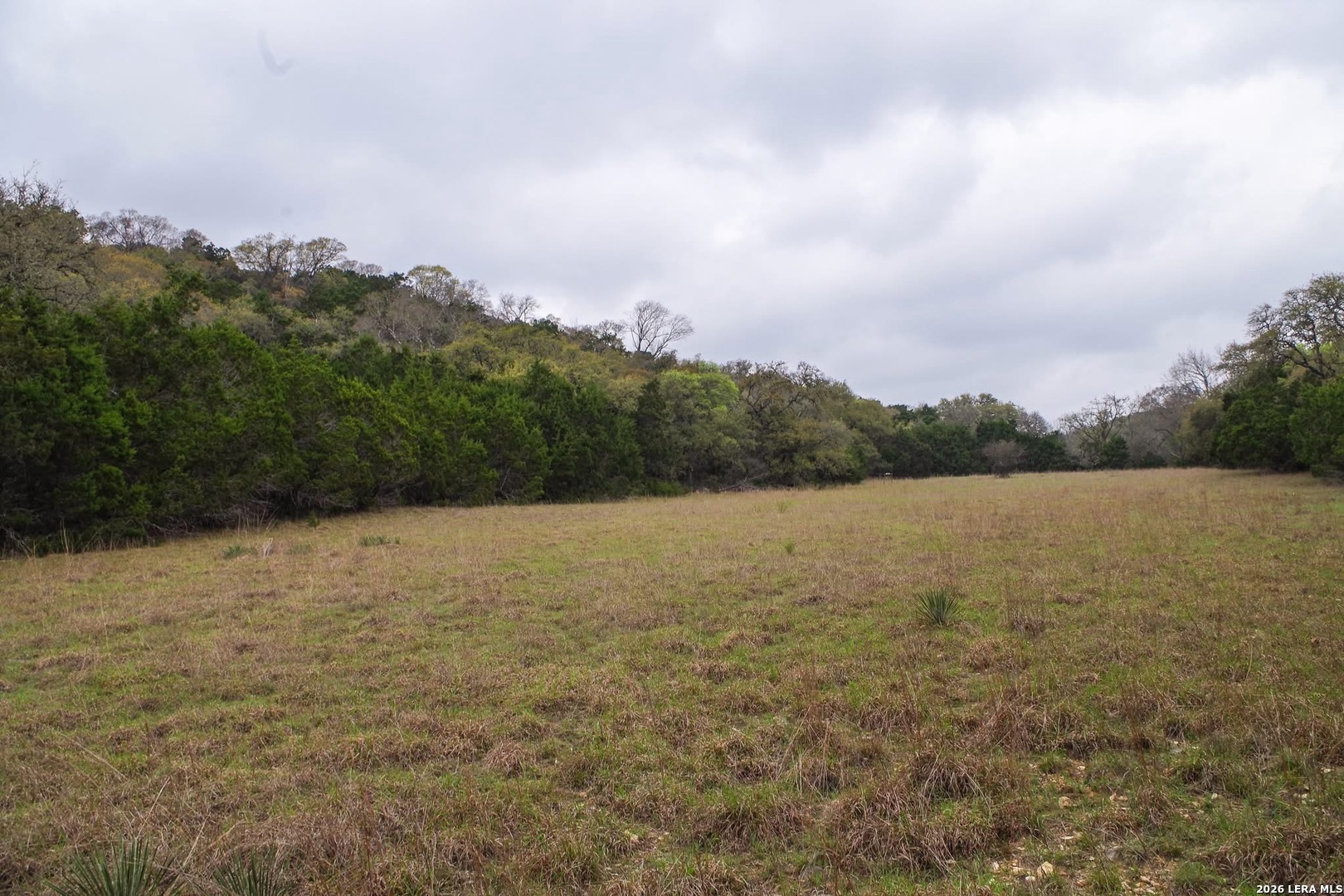 21207 Scenic Loop Helotes TX 78023