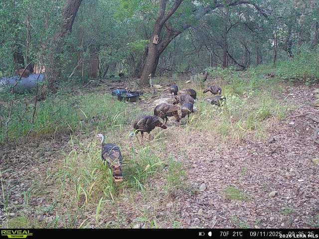 21207 Scenic Loop Helotes TX 78023